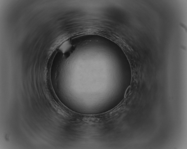 X0000093380242200710191140