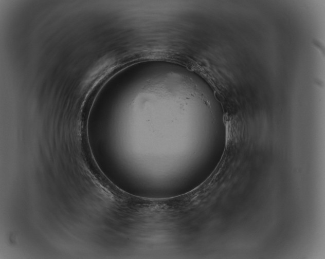 X0000093380243200710191140