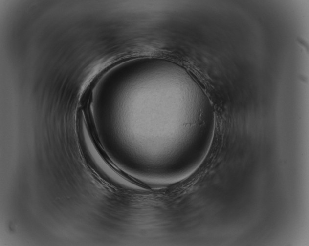 X0000093380244200710191140