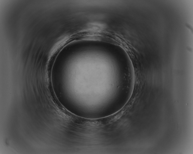 X0000093380245200710191140