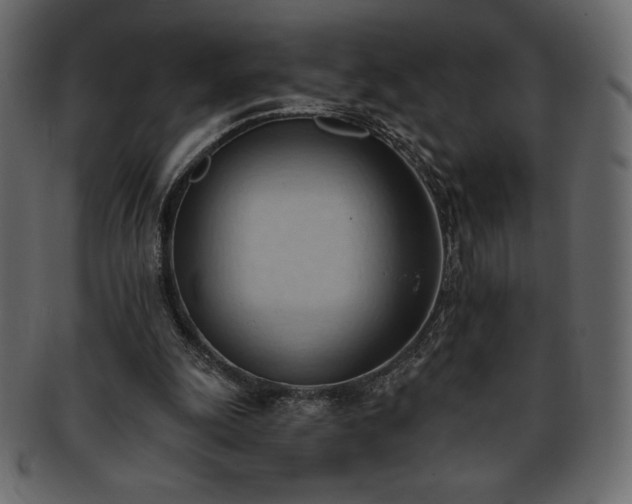 X0000093380247200710191140