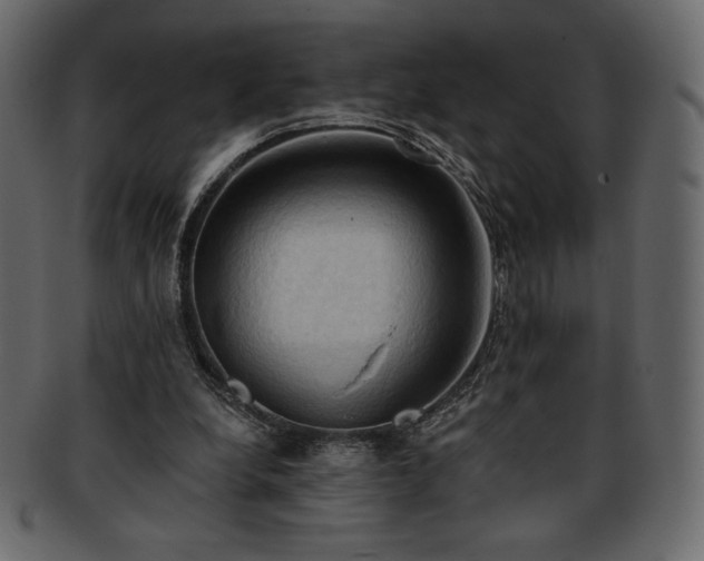 X0000093380248200710191140