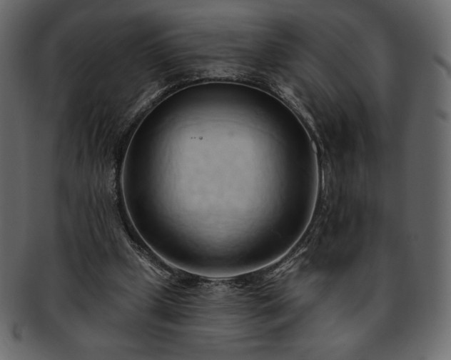 X0000093380249200710191140