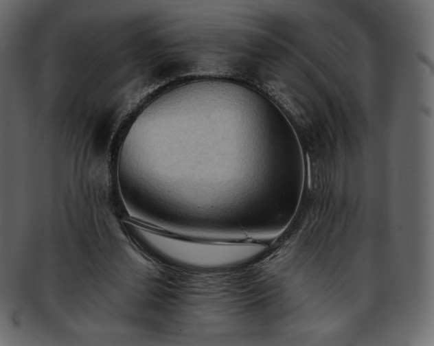 X0000093380252200710191140