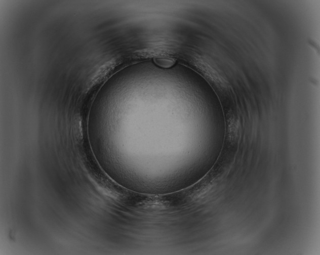 X0000093380254200710191140