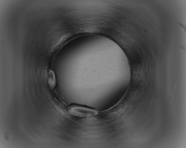 X0000093380256200710191140