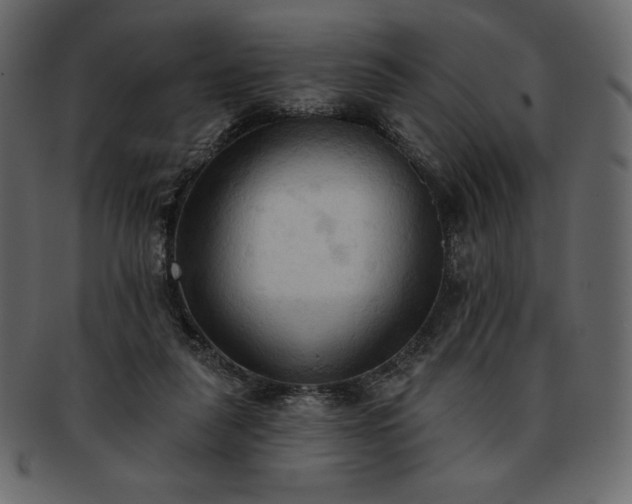 X0000093380259200710191140