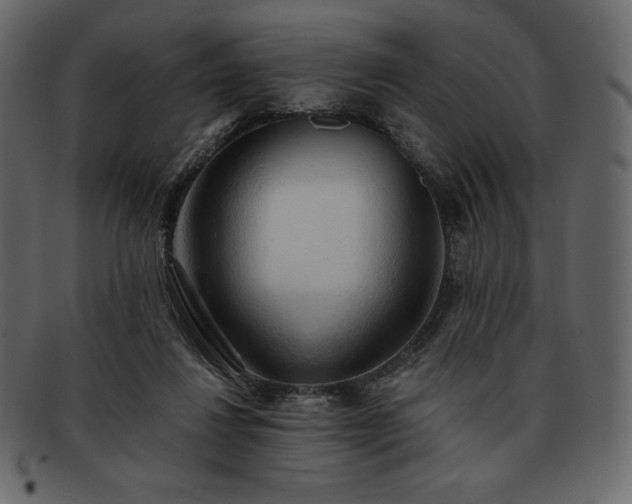 X0000093380260200710191140