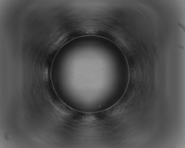 X0000093380262200710191140