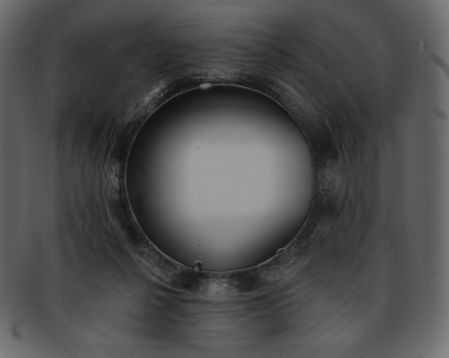 X0000093380264200710191140