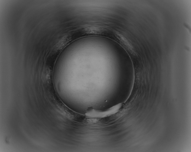 X0000093380265200710191140