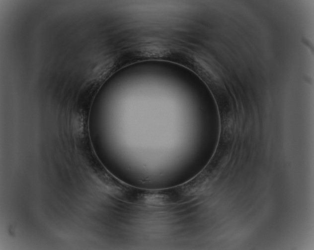 X0000093380268200710191140