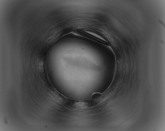 X0000093380269200710191140