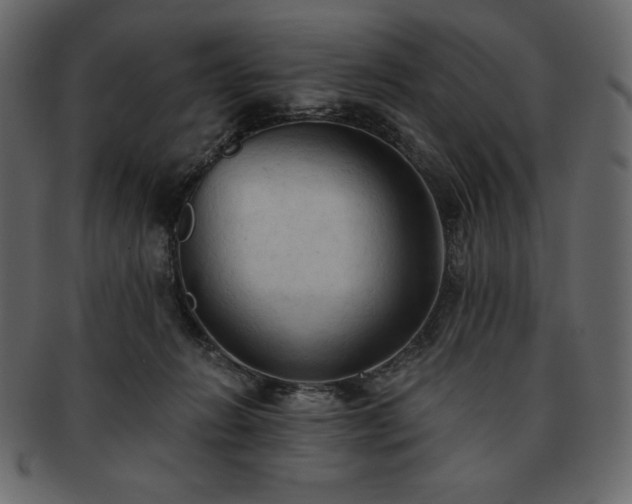 X0000093380270200710191140