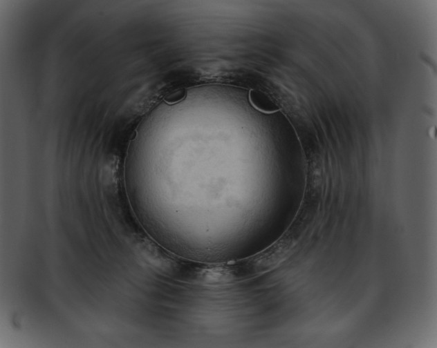 X0000093380275200710191140