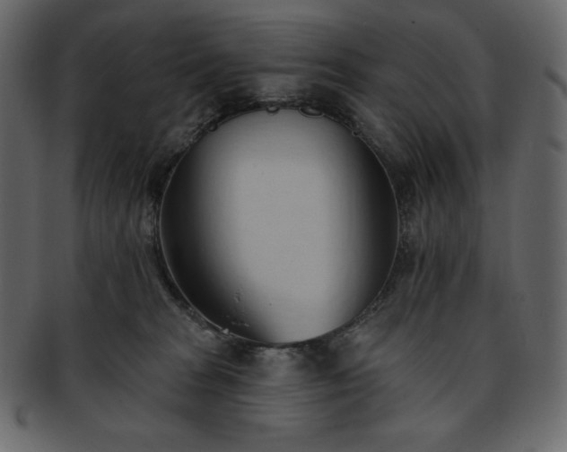 X0000093380277200710191140