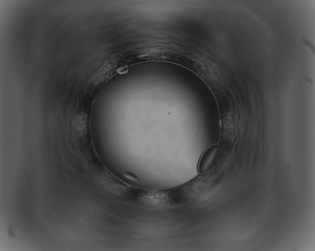 X0000093380278200710191140