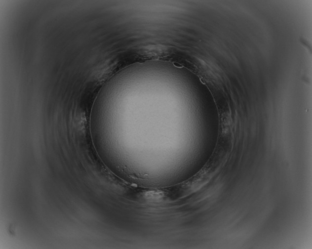 X0000093380279200710191140