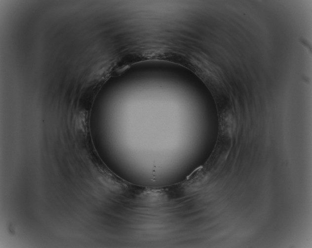 X0000093380280200710191140