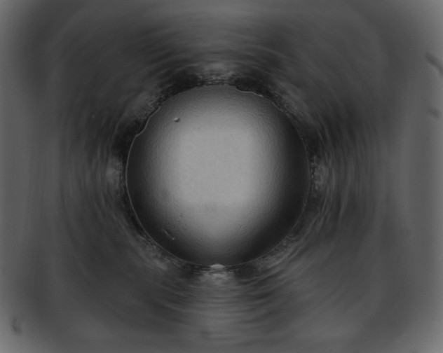 X0000093380283200710191140