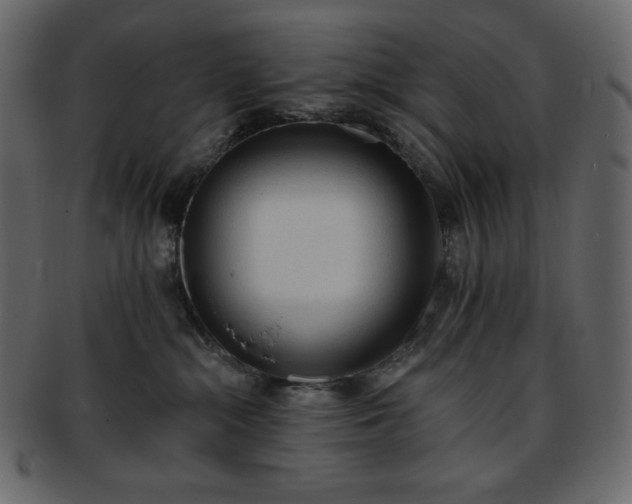 X0000093380284200710191140