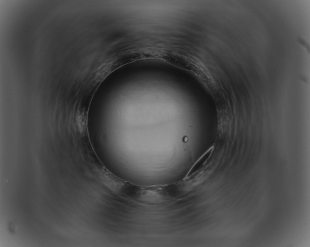 X0000093380285200710191140