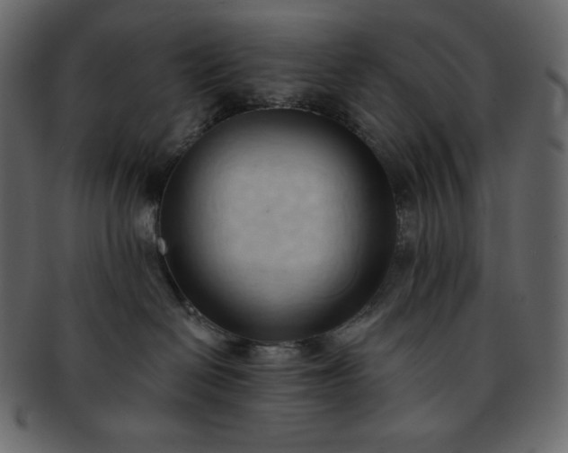 X0000093380286200710191140