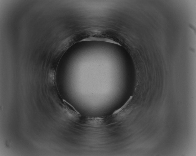 X0000093380288200710191140