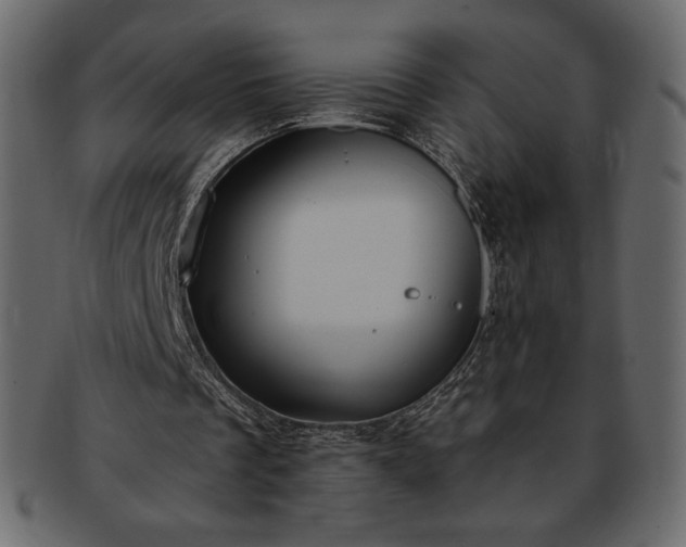 X0000093380289200710191140