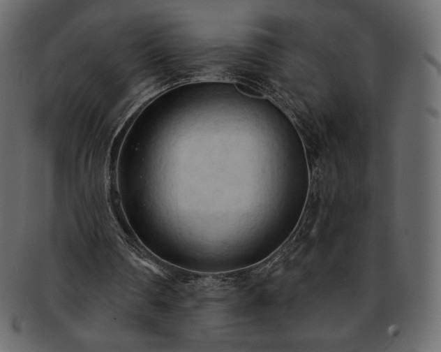 X0000093380290200710191140