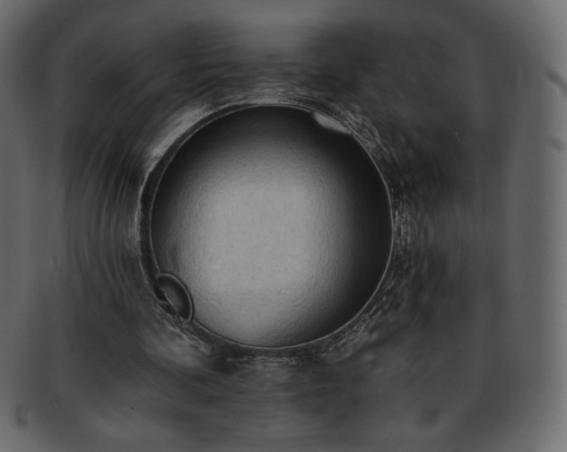 X0000093380292200710191140