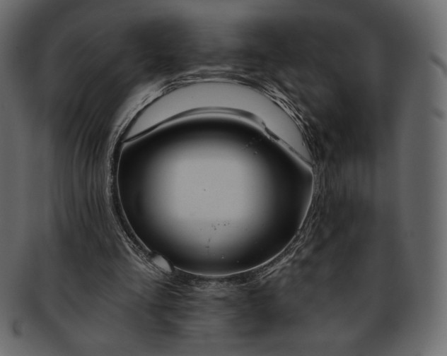 X0000093380293200710191140