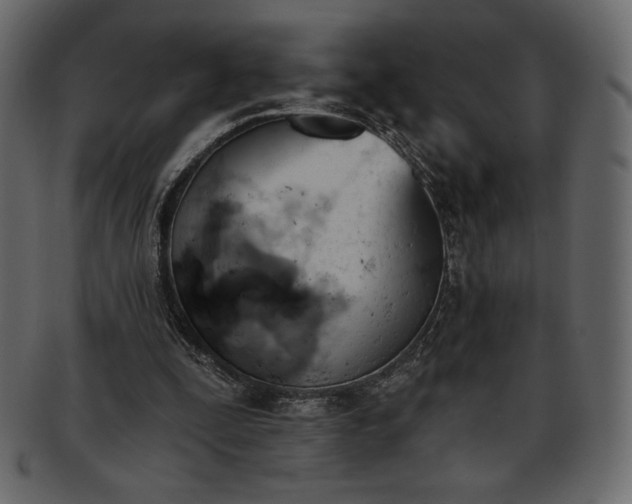 X0000093380295200710191140