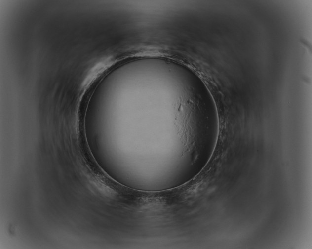 X0000093380296200710191140