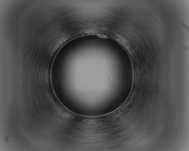 X0000093380297200710191140