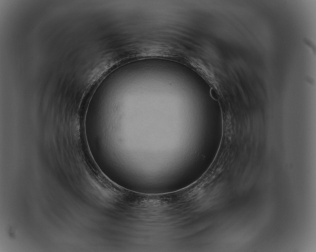 X0000093380298200710191140