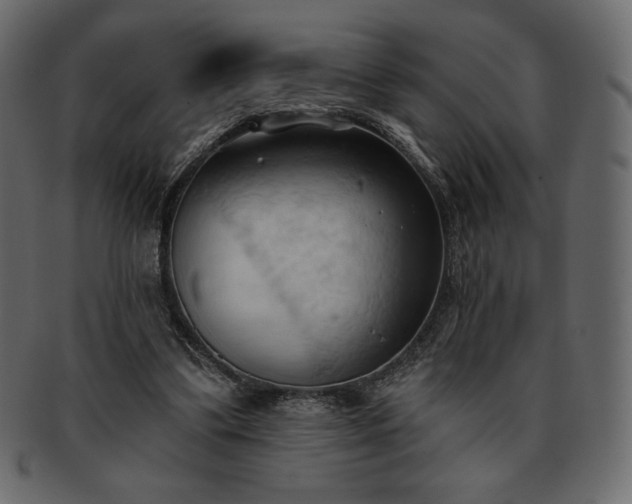 X0000093380299200710191140