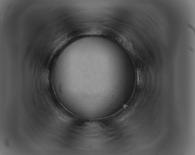 X0000093380300200710191140