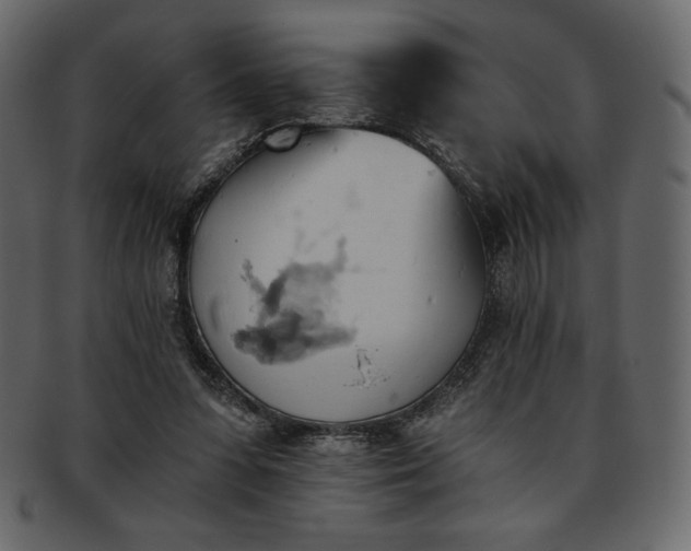 X0000093380303200710191140