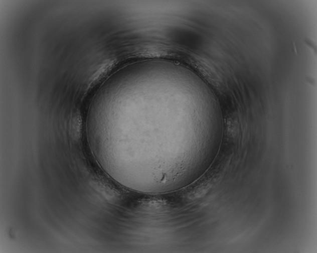 X0000093380304200710191140