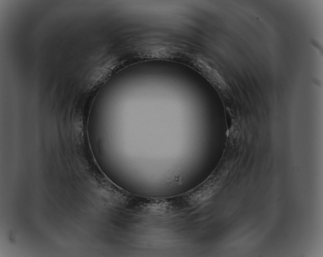 X0000093380306200710191140