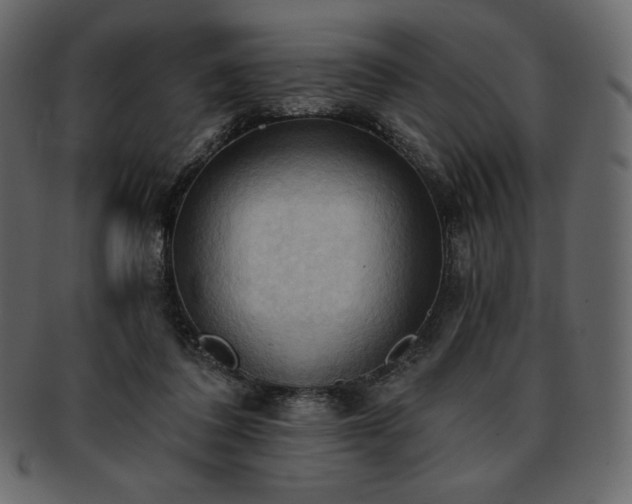 X0000093380308200710191140