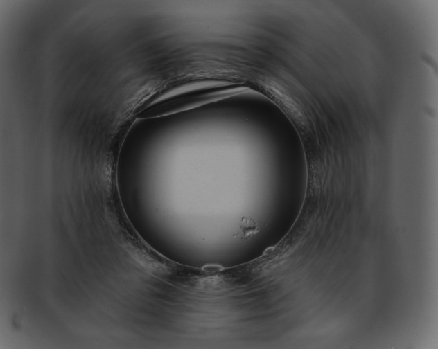 X0000093380309200710191139