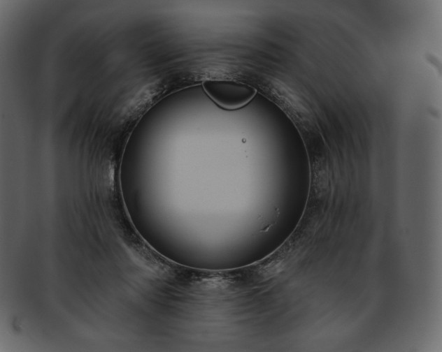 X0000093380310200710191139