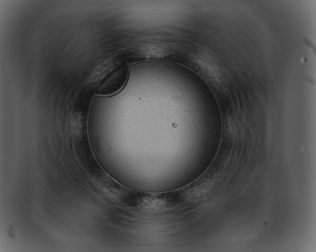 X0000093380311200710191139