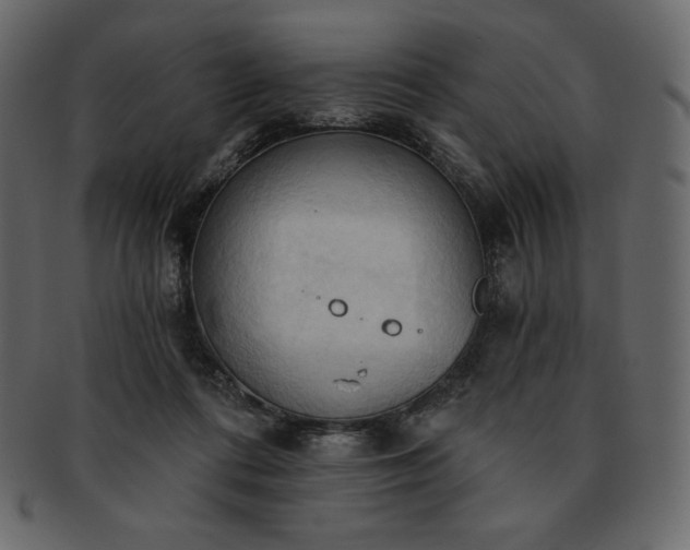 X0000093380312200710191139