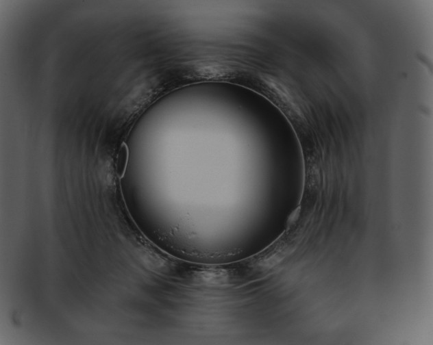 X0000093380317200710191139