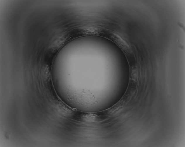 X0000093380318200710191139