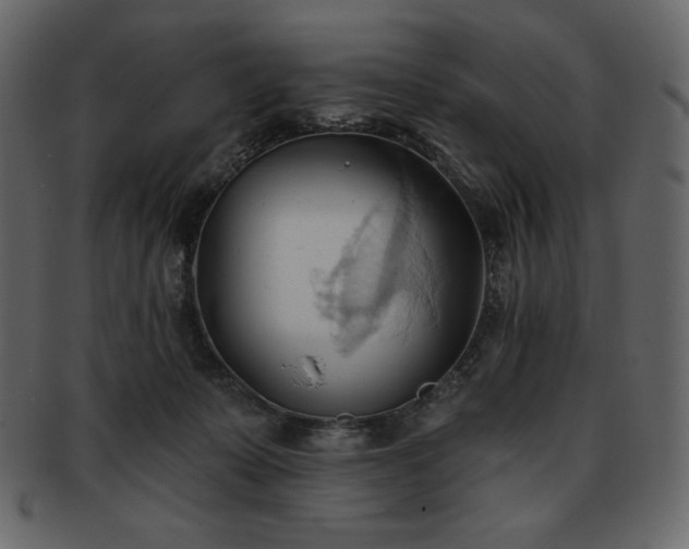 X0000093380319200710191139