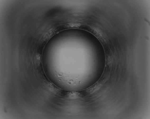 X0000093380321200710191139